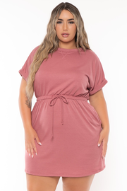 Plus Size Zenna   Sweatshirt  Dress - Mauve