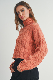 Braided Turtle Neck Sweater