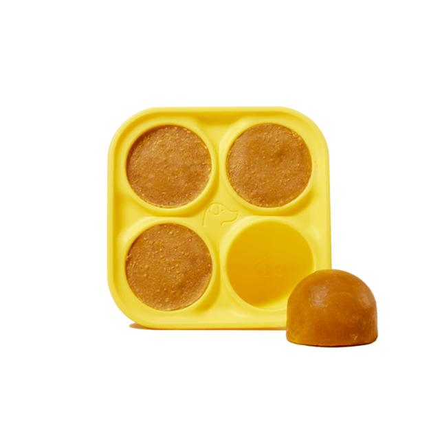 Woof Pupsicle Frozen Dog Treat Mold - Freeze Your Own DIY Dog Treats