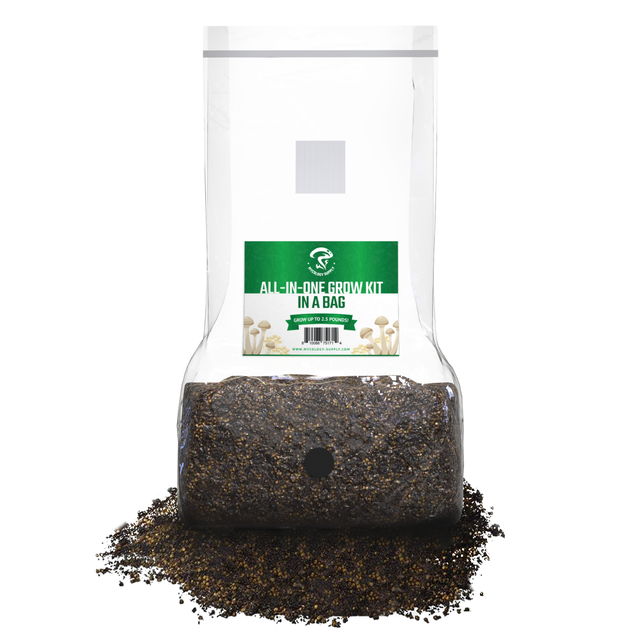 All-In-One Mushroom Grow Bag (5 pounds) - Generation 2 - Sterilized mushroom media with injection port. 3 bags.