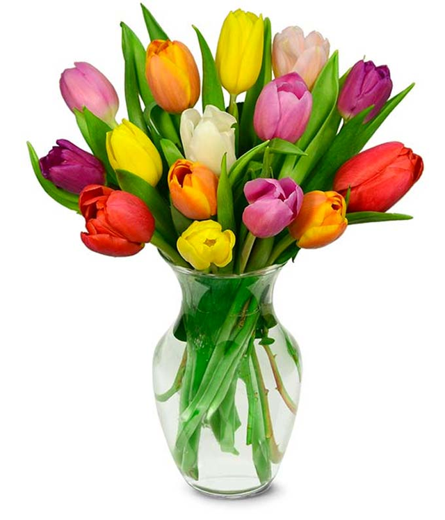 20 Rainbow Tulips at Send Flowers