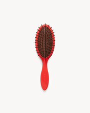 Travel Detangling Hair Brush in Ruby