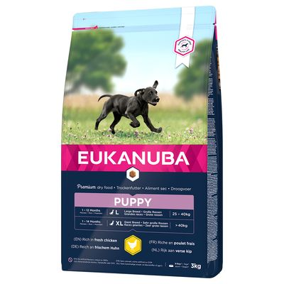Eukanuba Puppy Large Breed - Chicken