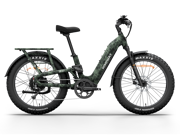 Himiway D5<sup> 2.0</sup> Camo eBike