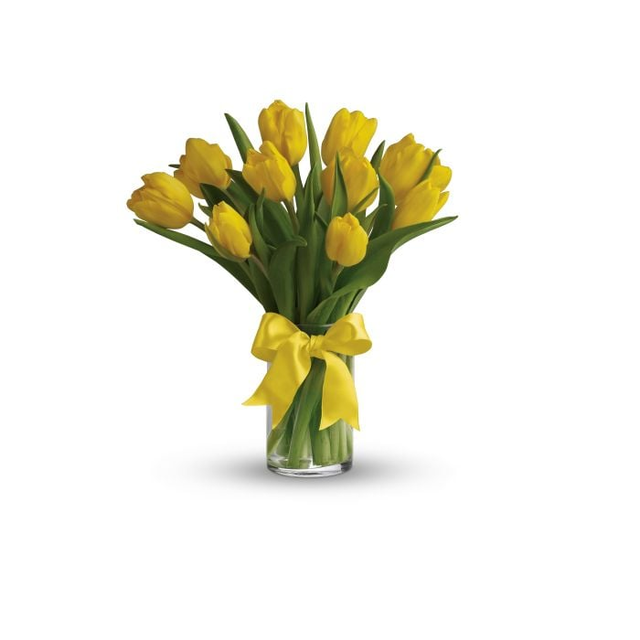 Sunny Yellow Tulips