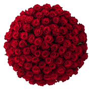 Red Roses Valentine
