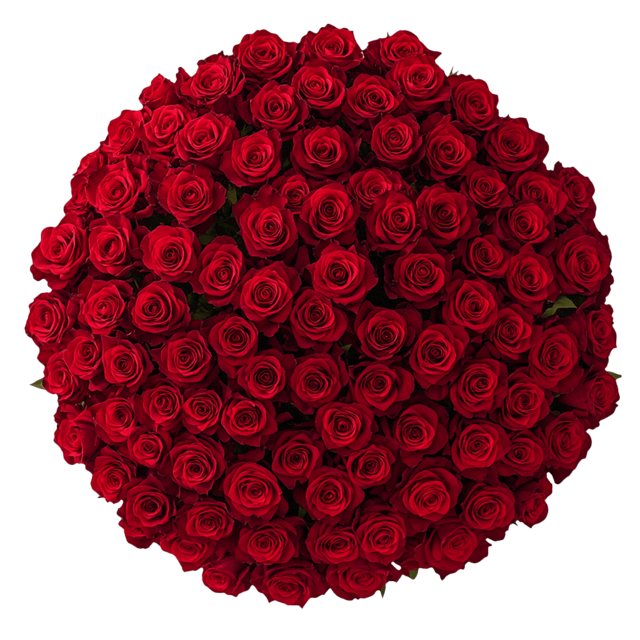 Red Roses Valentine