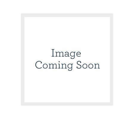 Shark MessMaster Portable Wet & Dry Vacuum