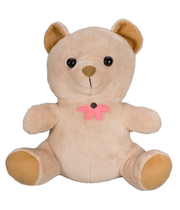 Teddy Bear 4K Hidden Camera DVR [Battery Powered]