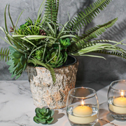 Natural Birch Bark Covered Zinc Planter Pot Vase 7" x 6"