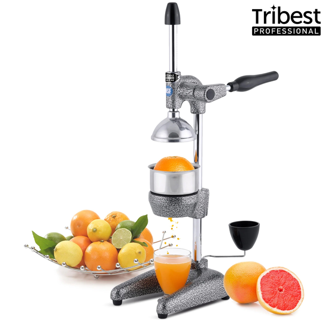 Manual Juice Press