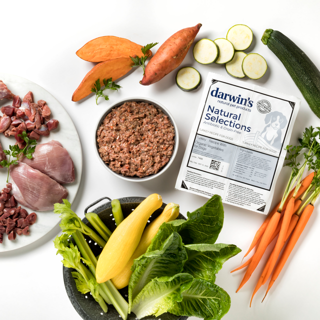 Natural Selections™ Turkey for Dogs