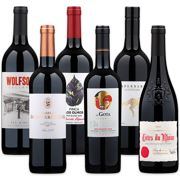 Beautiful Blends Case