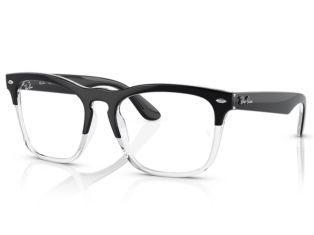 Ray-Ban Steve RX4487V 8193 54 Black on Transparent