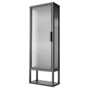 MOSSJÖN Wall cabinet w shelves/glass door - anthracite 36x18x102 cm
