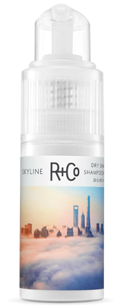 SKYLINE Dry Shampoo Powder