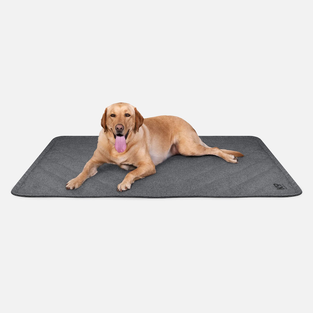 Tough Ripstop™ Dog Blanket