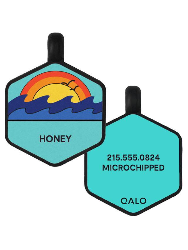 Ocean Sunrise Silicone Dog ID Tag