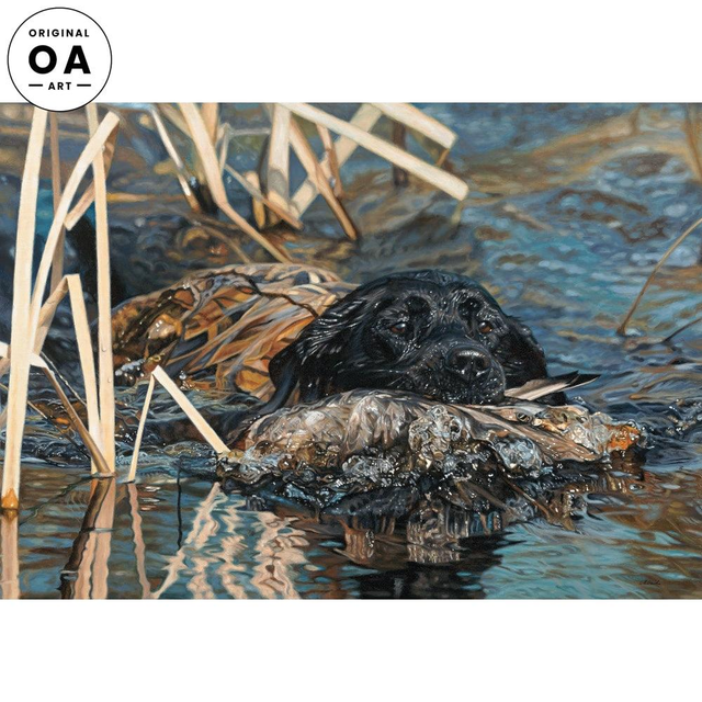 Dress For Success—Lab