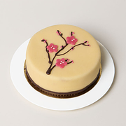 Dessert Blackforest Cherry Cake germany | Gift Dessert Blackforest Cherry Cake- FNP