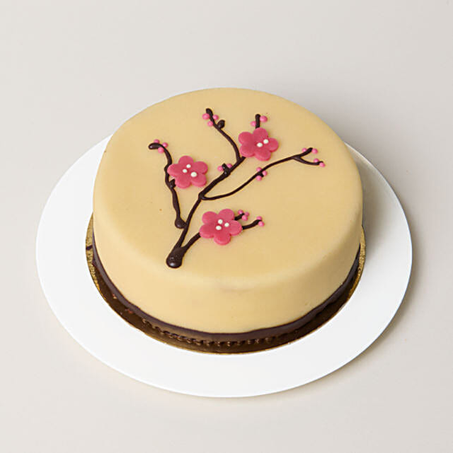 Dessert Blackforest Cherry Cake germany | Gift Dessert Blackforest Cherry Cake- FNP
