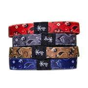 The Bandanas
