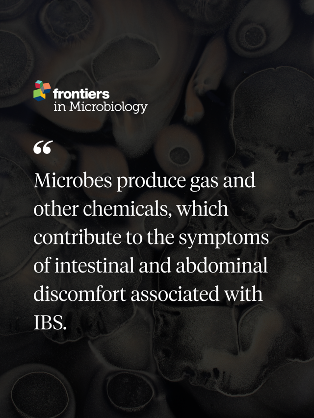 Steps to Test | Gut Intelligence