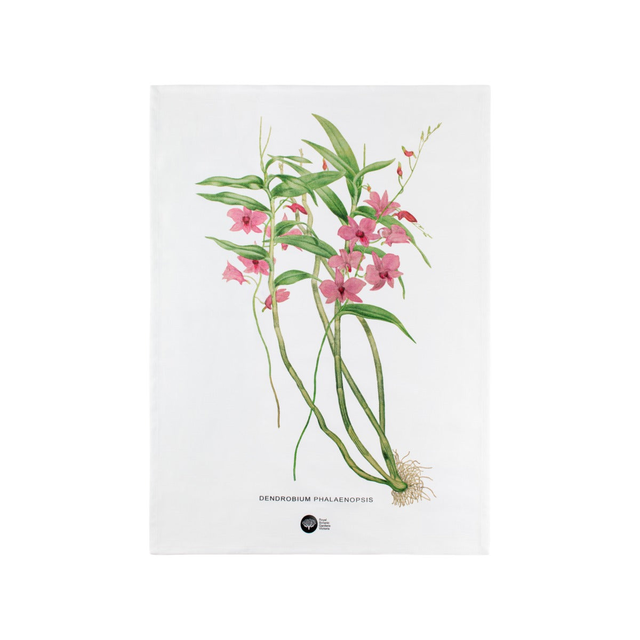 Royal Botanic Gardens Australian Orchids Tea Towel 50x70cm Pink