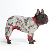 Dog Christmas Pajama - Mistletoe