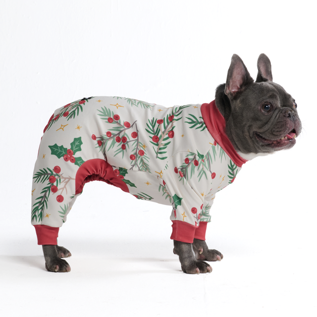 Dog Christmas Pajama - Mistletoe