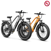 Aipas® Ebike Combo Sale M2*2