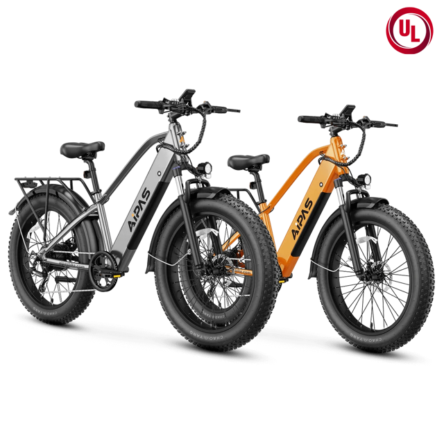 Aipas® Ebike Combo Sale M2*2