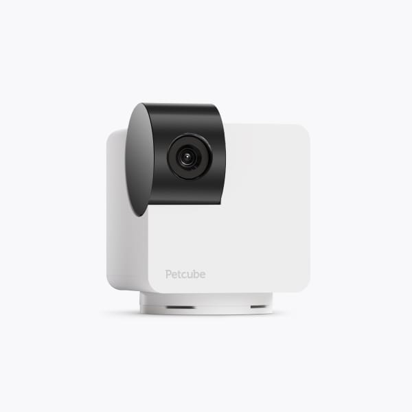 Petcube Cam 360