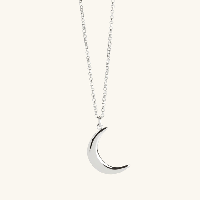 Crescent Moon Necklace Silver