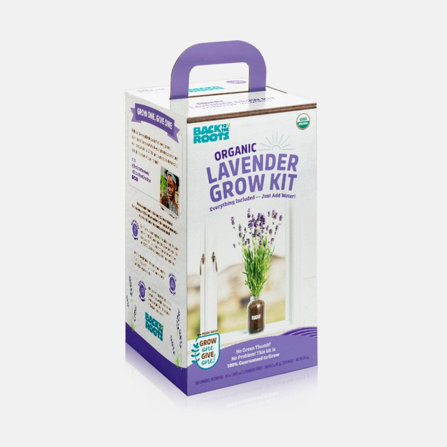 Organic Lavender Windowsill Planter đź’ś