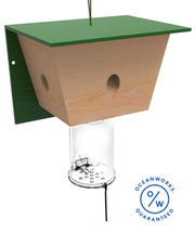 Best Carpenter Bee Trap