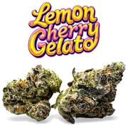 Lemon Cherry Gelato Exotic THCa Flower 10g Hybrid