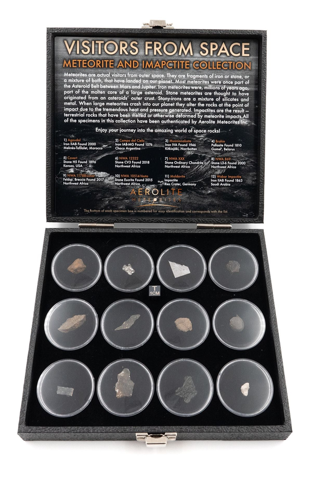 Twelve Piece Meteorite Collectible Set