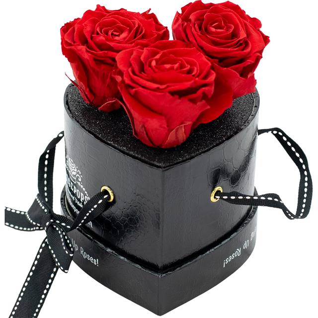 Black Croc Three's a Charm - 4 Soft Piink Roses