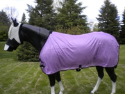 Economy Fly Sheet — Tipperary Horse Blankets