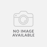 Lace Bouquet (Platinum Trim) 40 Piece Estate Set by Salem