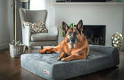Barker Beds OrthoMedic Dog Bed