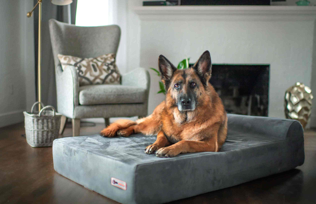 Barker Beds OrthoMedic Dog Bed