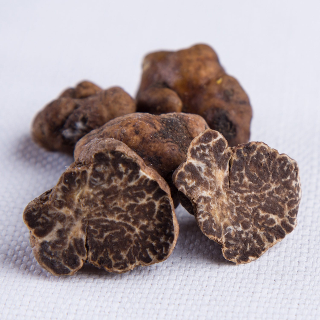 HAZELNUT TRUFFLE TREE