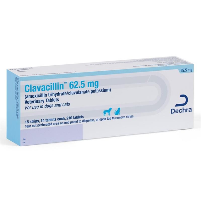 Clavacillin For Dogs (Amoxicillin Trihydrate and Clavulanate Potassium) Tablets | Allivet