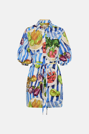 Stripe Picnic Shirt Dress