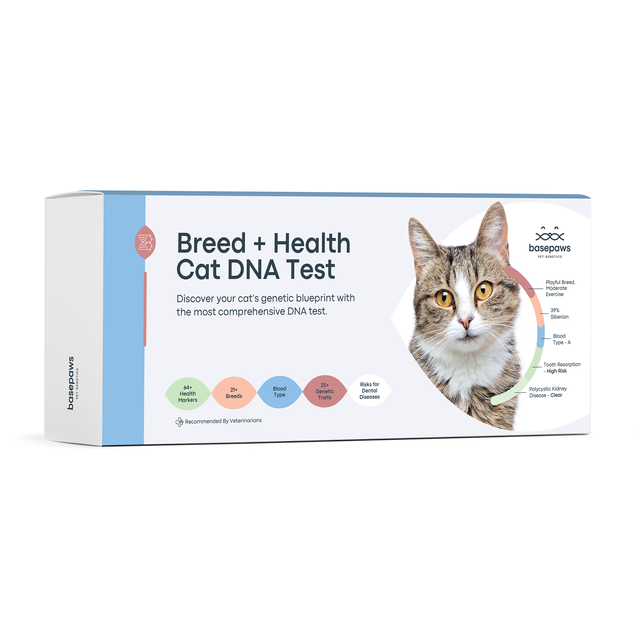 Breed + Health Cat DNA Test