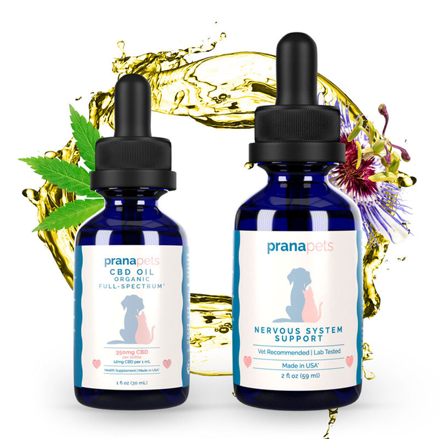 Nervous System Support Pack