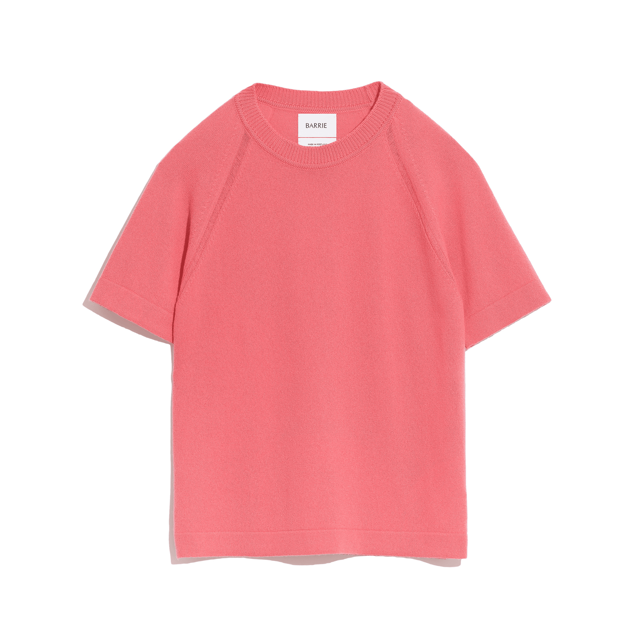Cashmere short sleeved top