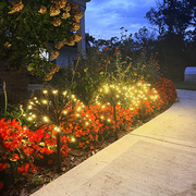 Starburst Pathway Lights, Set of 3